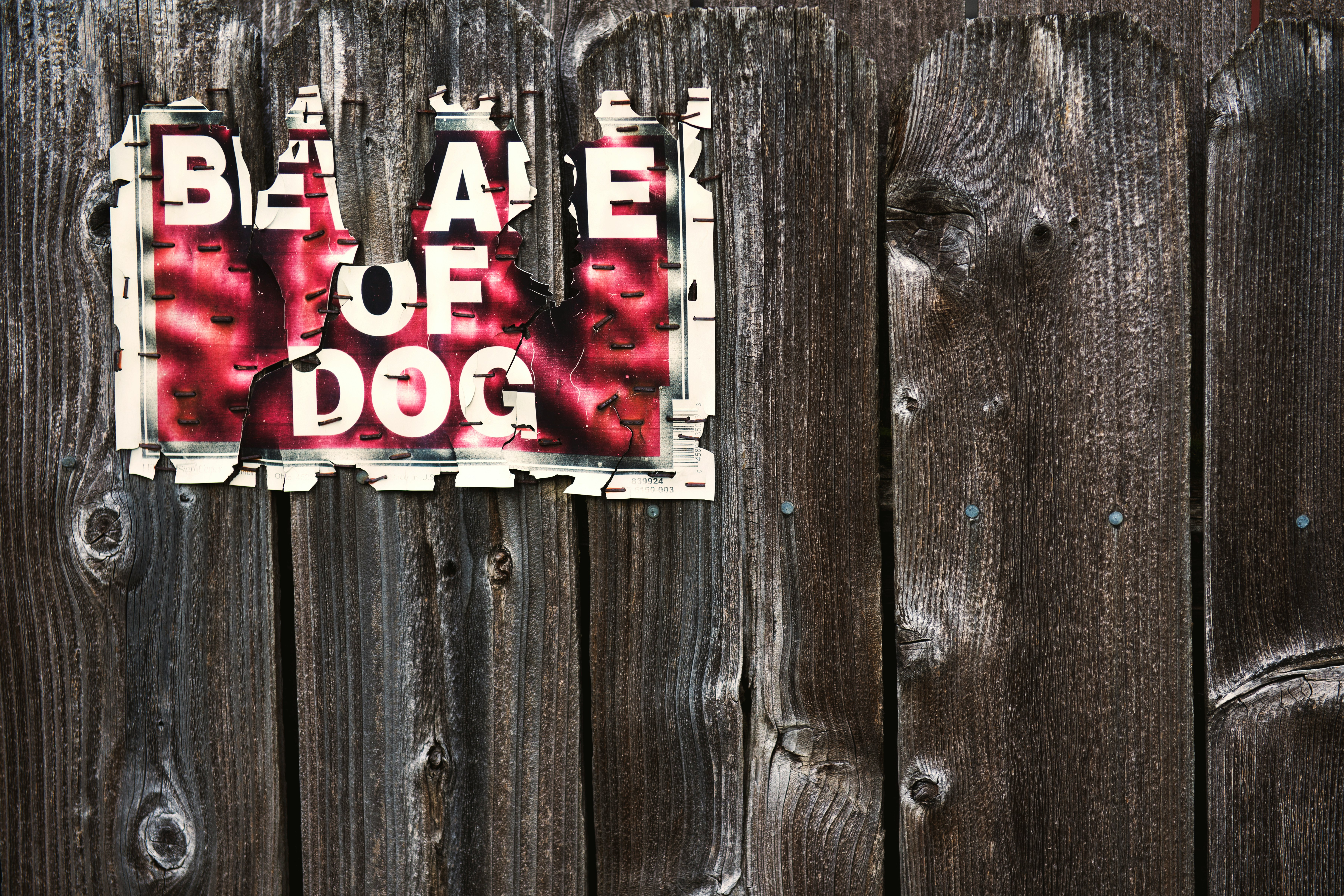 beware of dog sign on wood fence